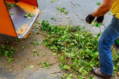Debris Hauling - Debris Hauling North Port, Florida